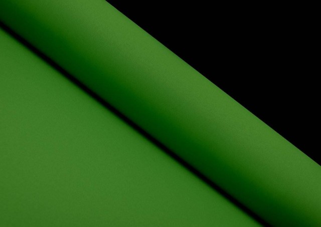 Tissu en Popeline de Couleurs couleur Vert