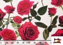 Acheter Tissu en Coton Imprimé Roses Flamenco couleur Blanc