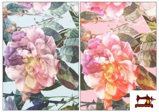 Tissu en Coton avec Imprimé Floral Multicolore Tissu en Coton avec Imprimé Floral Multicolore