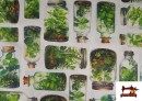 Vente de Tissu Toile Imprimée Terrarium Botanique